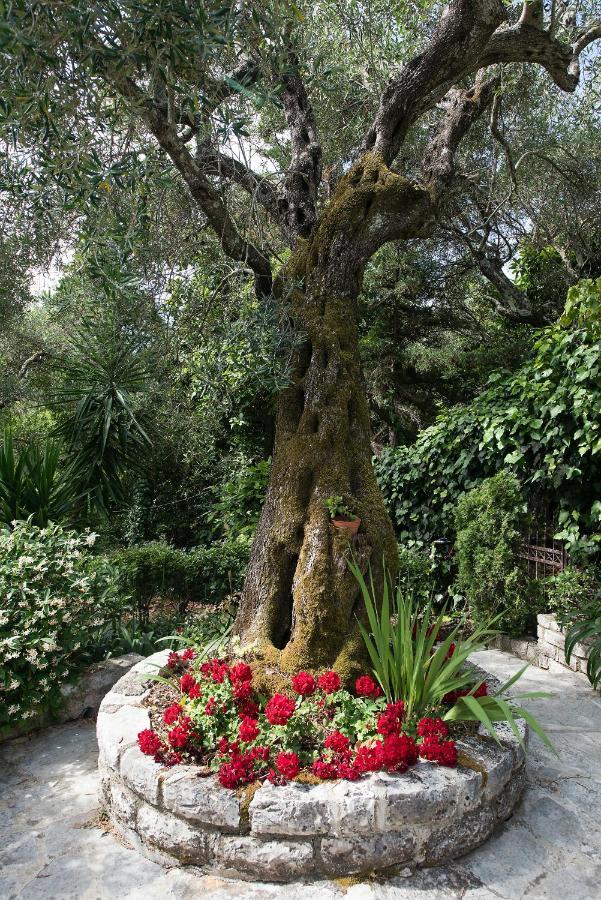 Villa Lofos Kassiopi Buitenkant foto