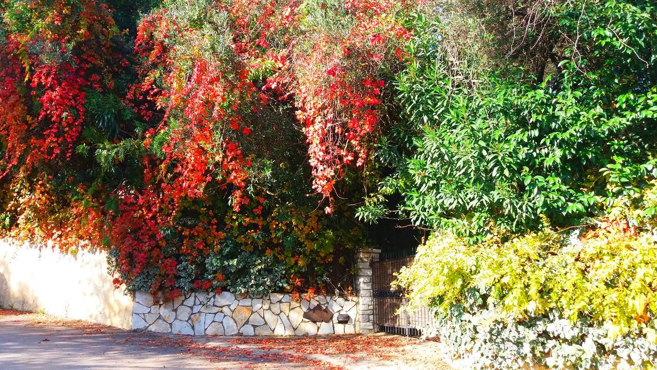 Villa Lofos Kassiopi Buitenkant foto